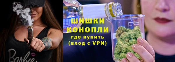 СК Снежногорск