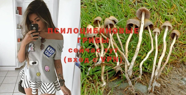 кокаин Белокуриха