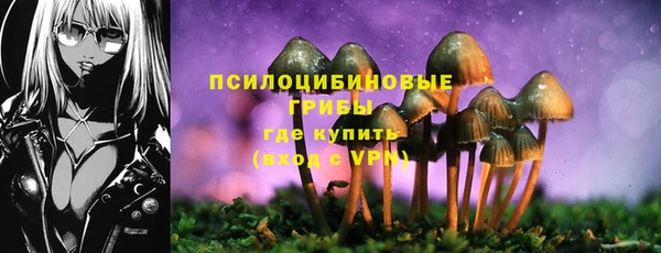 гашик Белоозёрский